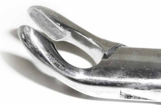 Dental Forcep #151A