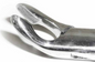 Dental Forcep #151A