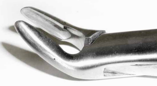 Dental Forcep #288