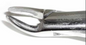 Dental Forcep #150