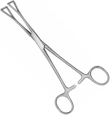 Pennington Forcep 6”