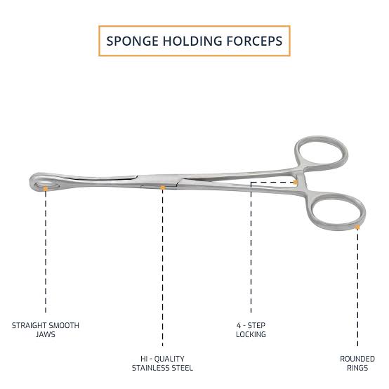 Forester Sponge Forceps 9.5"