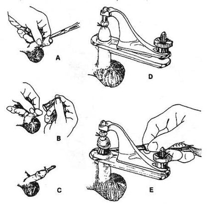 Gomco Circumcision Clamp 1.3cm