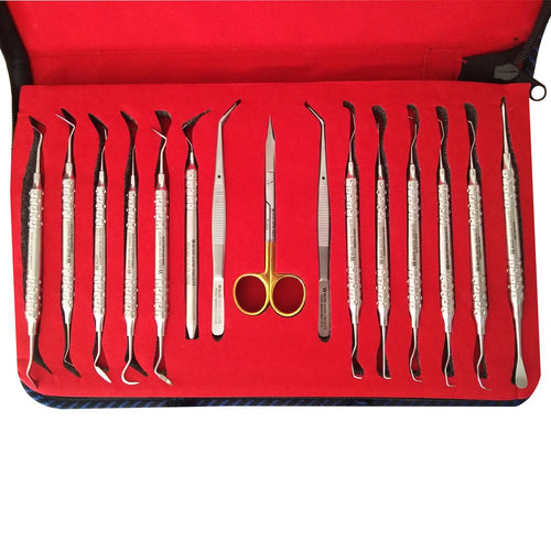 Periodontal Instrument Set (15)