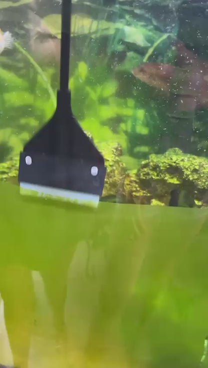 Algae Scraper