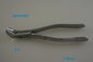 Dental Forcep #6