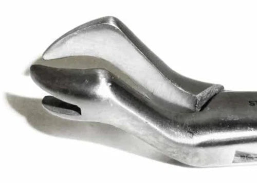 Tamsco Dental Forcep #88R