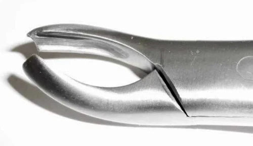 Tamsco Dental Forcep #18L