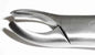 Tamsco Dental Forcep #18L