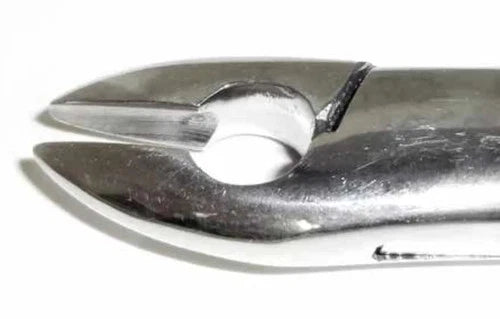 Tamsco Dental Forcep #99A