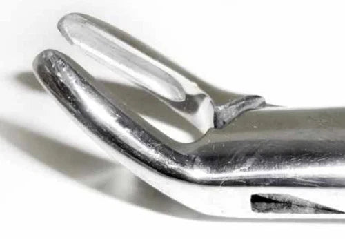 Tamsco Dental Forcep #151S