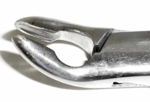 Tamsco Dental Forcep #85