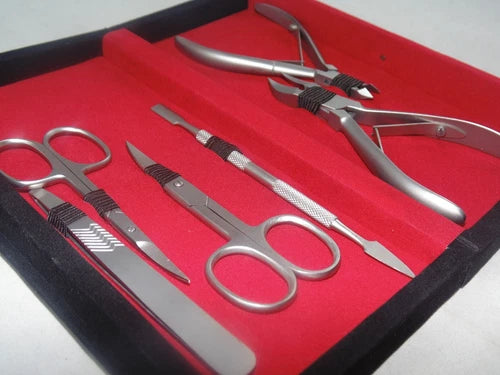 Tamsco Women's Professional Manicure Set (6) from USA