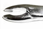 Tamsco Dental Forcep #213
