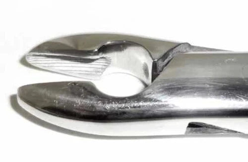 Tamsco Dental Forcep #99C