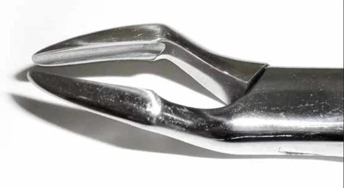 Tamsco Dental Forcep #32A