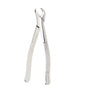Tamsco Dental Forcep #16