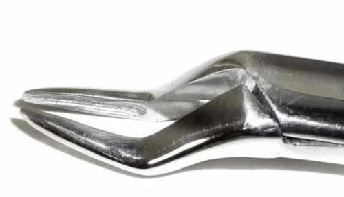 Tamsco Dental Forcep #65