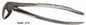 Tamsco Dental Forcep #13