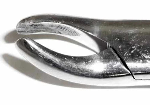 Tamsco Dental Forcep #24