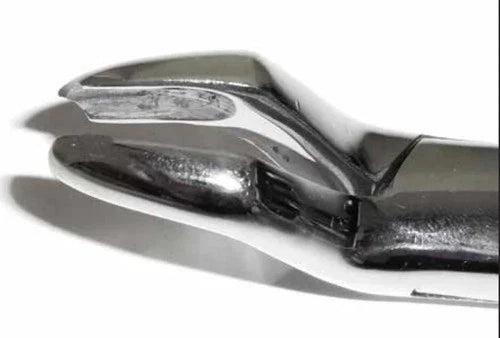 Tamsco Dental Forcep #53L