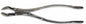 Tamsco Dental Forcep #53R