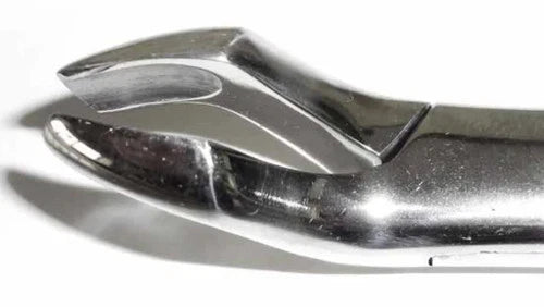 Tamsco Dental Forcep #10S