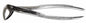 Tamsco Dental Forcep #74N