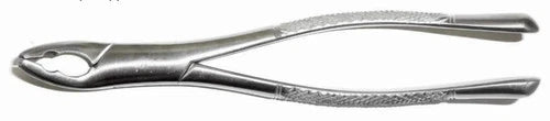 Tamsco Dental Forcep #151AS