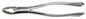 Tamsco Dental Forcep #151AS