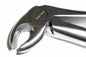 Tamsco A   Dental Forcep English #22