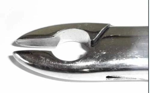 Tamsco Dental Forcep #N10S