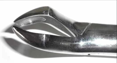 Tamsco Dental Forcep #10H