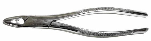 Tamsco Dental Forcep #150AS