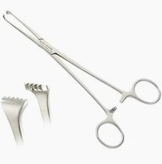 Allis Tissue Forcep 4x5 teeth 6”