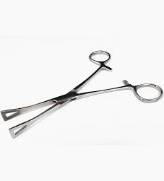 Pennington Forcep 6”