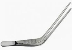 Wilde Ear Forcep 5”
