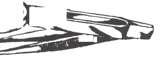 Virtus Splinter Forcep 6”